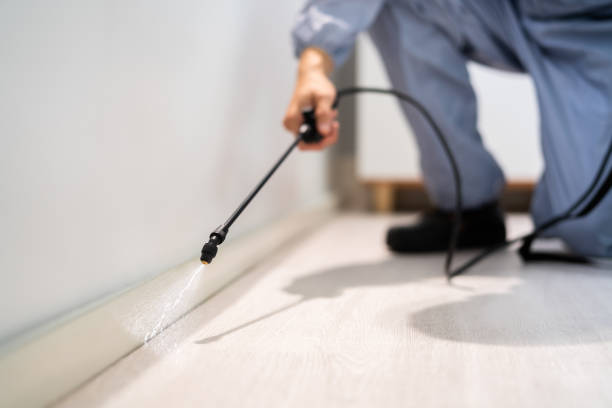 Licensed Pest Control service in Manvel, TX - Show Me Pest Control