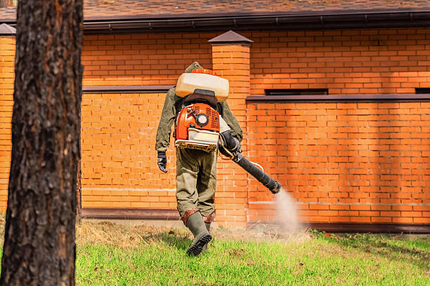 Bed Bug Clearance Verification and Documentation in Manvel